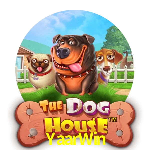 YaarWin — The Dog House slot | Play on Android APK & iPhone for real money | Pragmatic Play